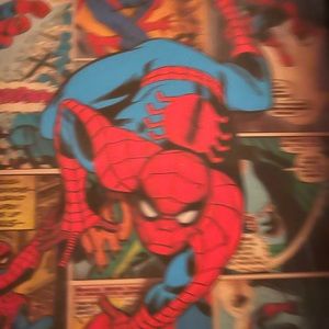 3D Marvel Spider Man Art for Collectors or the kids room 11X9 inches